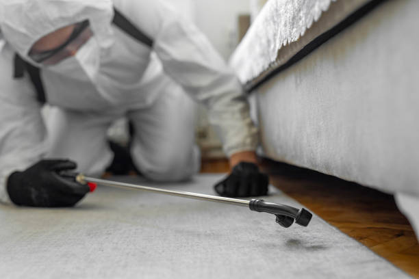Professional Termite Control technician working in Thiells, NY