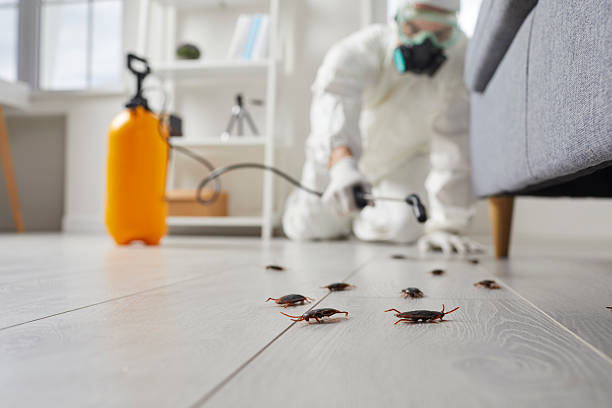 Trusted Cockroach Control service in Thiells, NY - Nex Pest Control