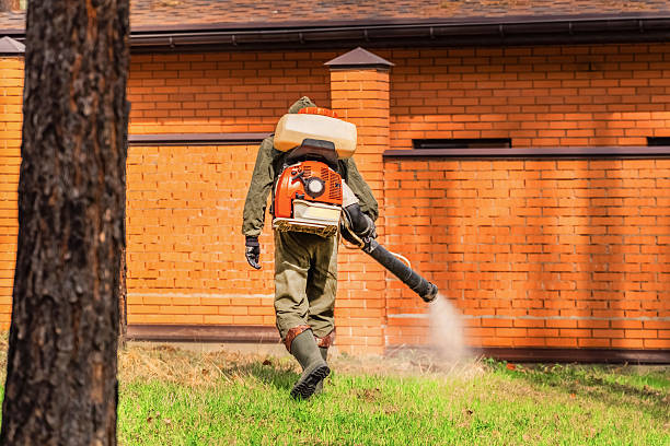 Trusted Termite Control service in Thiells, NY - Nex Pest Control